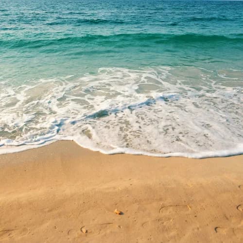 Photo of Beach
