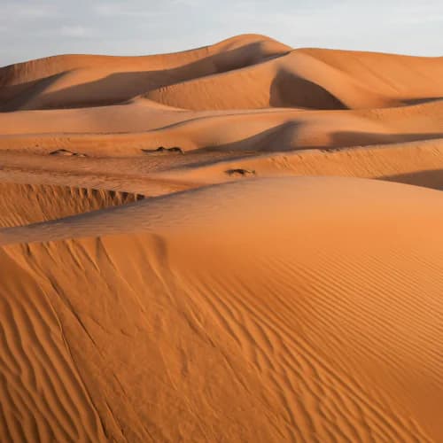 Photo of Desert