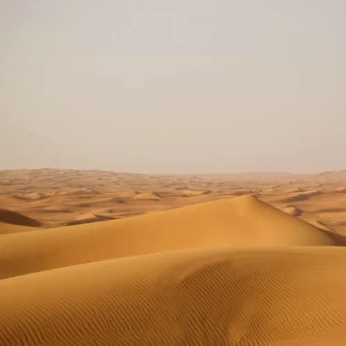 Photo of Desert