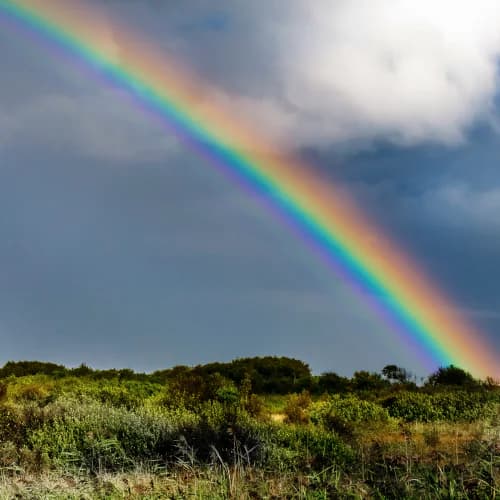 Atmospheric Rainbow