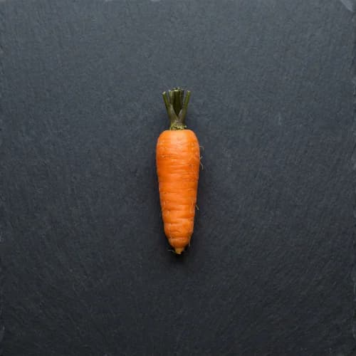 Photo of Carrot