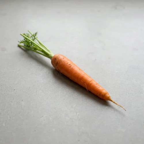 Photo of Carrot