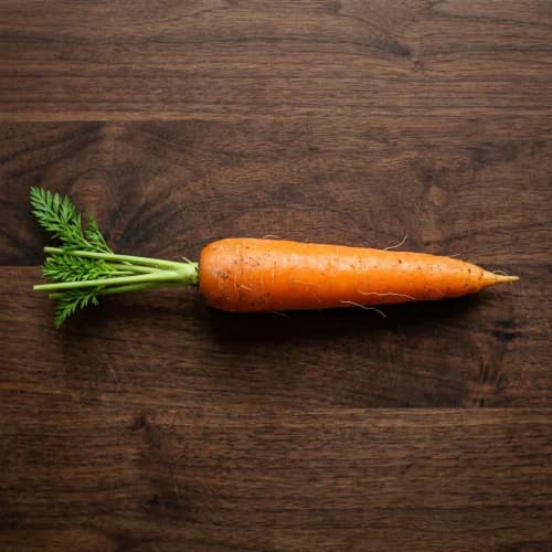 Photo of Carrot