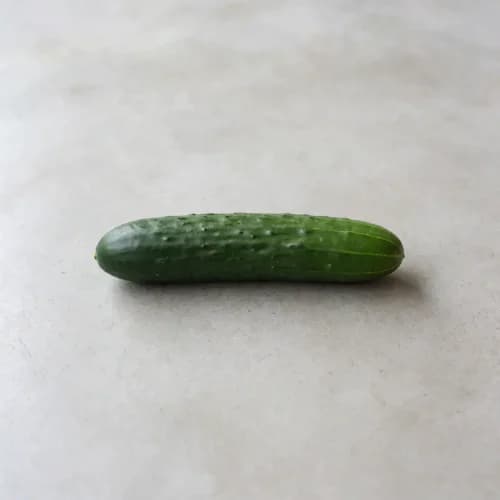 Photo of Cucumber