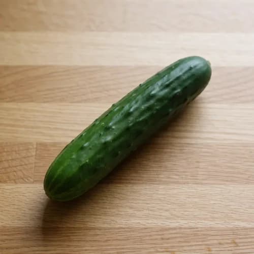 Photo of Cucumber