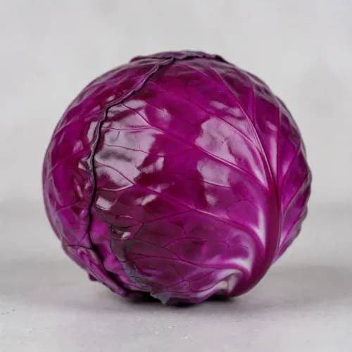 Photo of Cabbage