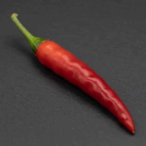 Photo of Chili Pepper