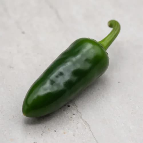 Photo of Chili Pepper