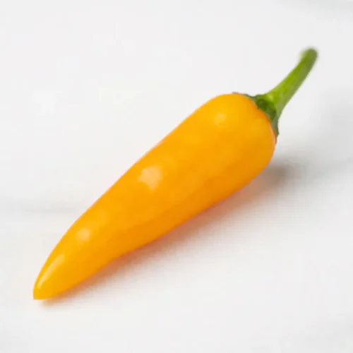 Photo of Chili Pepper