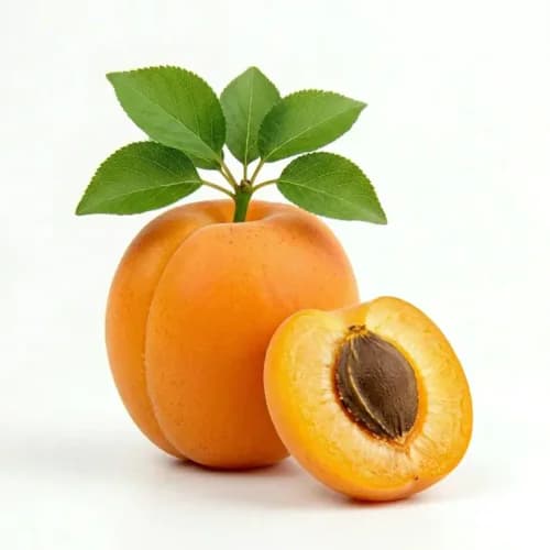 Photo of Apricot