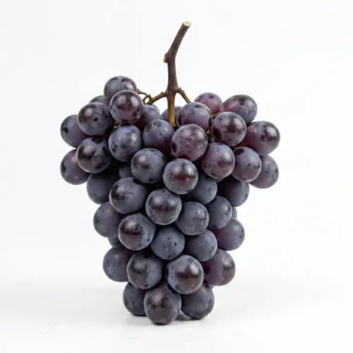 Photo of Grapes