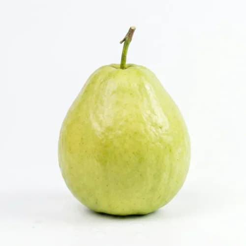 Photo of Guava