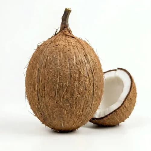 Photo of Coconut