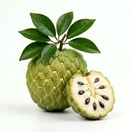 Photo of Custard Apple