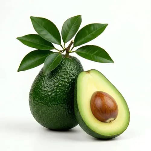 Photo of Avocado
