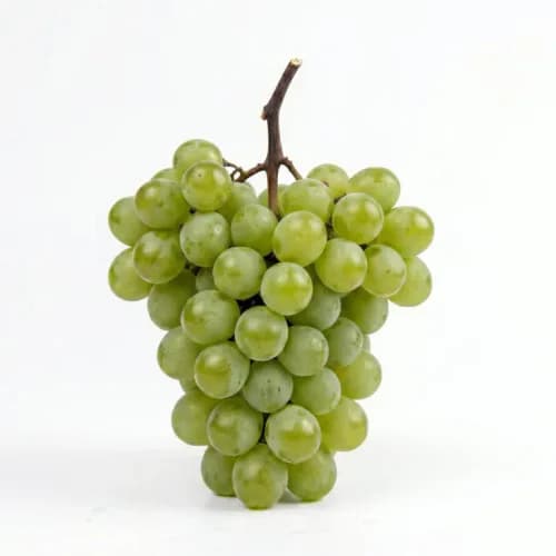 Photo of Grapes