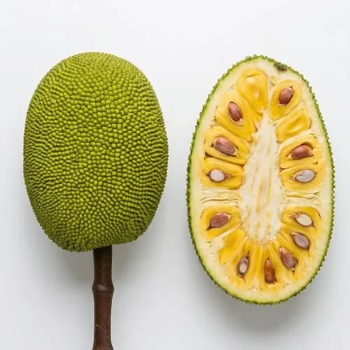 Photo of Jackfruit