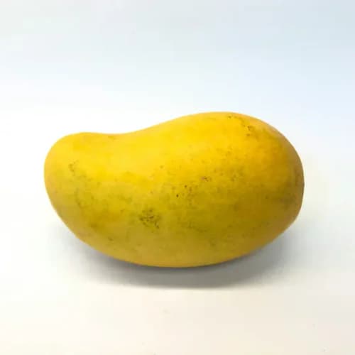 Tropical Mango